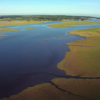 Picódromo en el humedal puede ser «un desastre ambiental», afirma bióloga