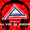 La VOZ de ADEOM | 28/11/24