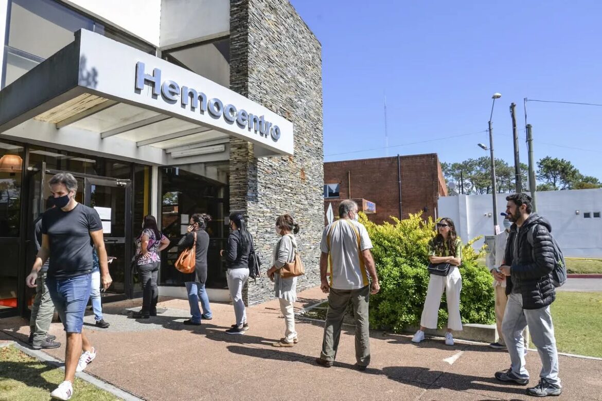 Hemocentro: ¿qué dicen los funcionarios sobre el cese de Curbelo?